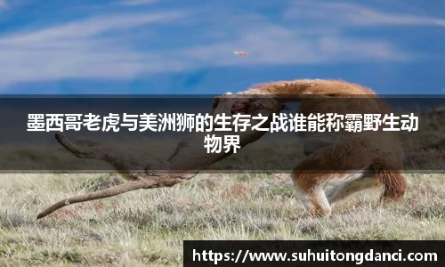 678体育官网