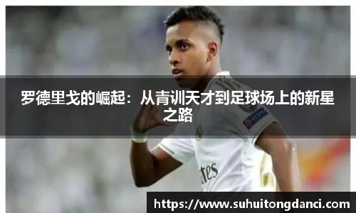 678体育app