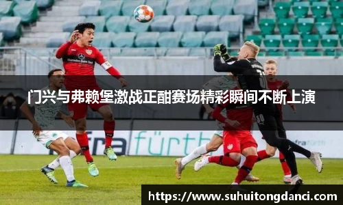 门兴与弗赖堡激战正酣赛场精彩瞬间不断上演