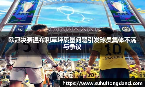 欧冠决赛温布利草坪质量问题引发球员集体不满与争议