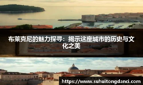布莱克尼的魅力探寻：揭示这座城市的历史与文化之美